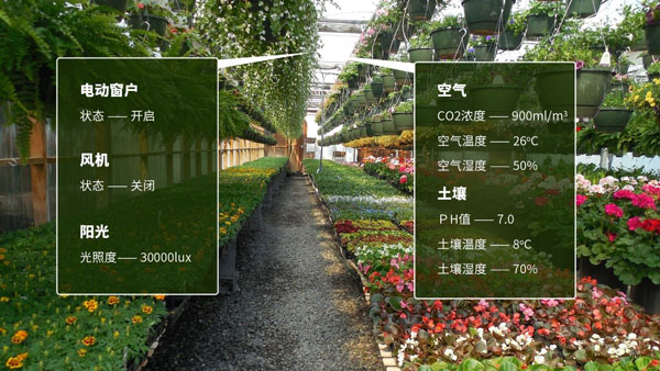 1603432356408057355.jpg 2018113019240032.jpg